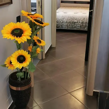 Apartment Nsm Casa Di Fulmine Attico Con Box Privato
